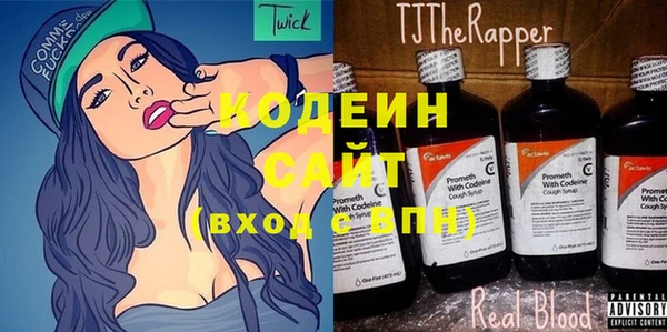 индика Протвино