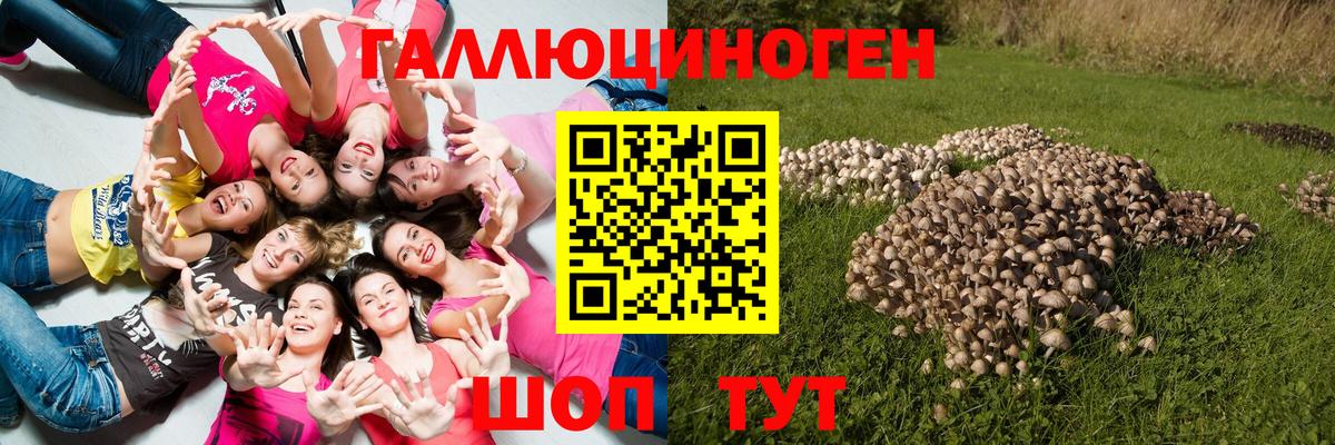 Сосновый Бор  Псилоцибиновые грибы Cubensis  Вход с VPN  Псилоцибиновые грибы ЛСД 